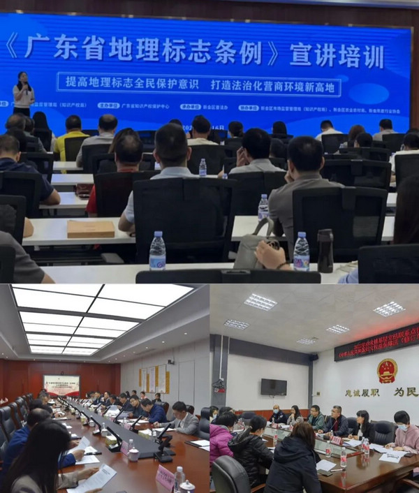 nEO_IMG_p2-江门：以政府立法基层联系点建设为抓手 践行和发展全过程人民民主 .jpg