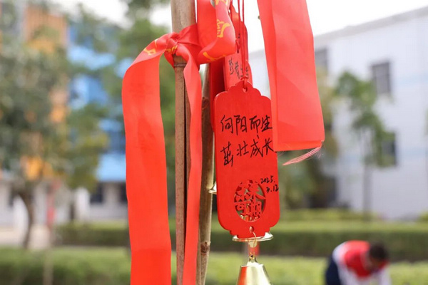 nEO_IMG_p2-佛山：筑牢未成年人成长法治“防线” .jpg