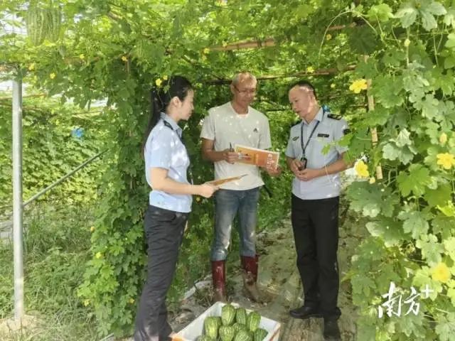 p1-构建知识产权全链保障，蓬江全力打造一流法治化营商环境 .jpg